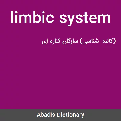 معنی limbic system